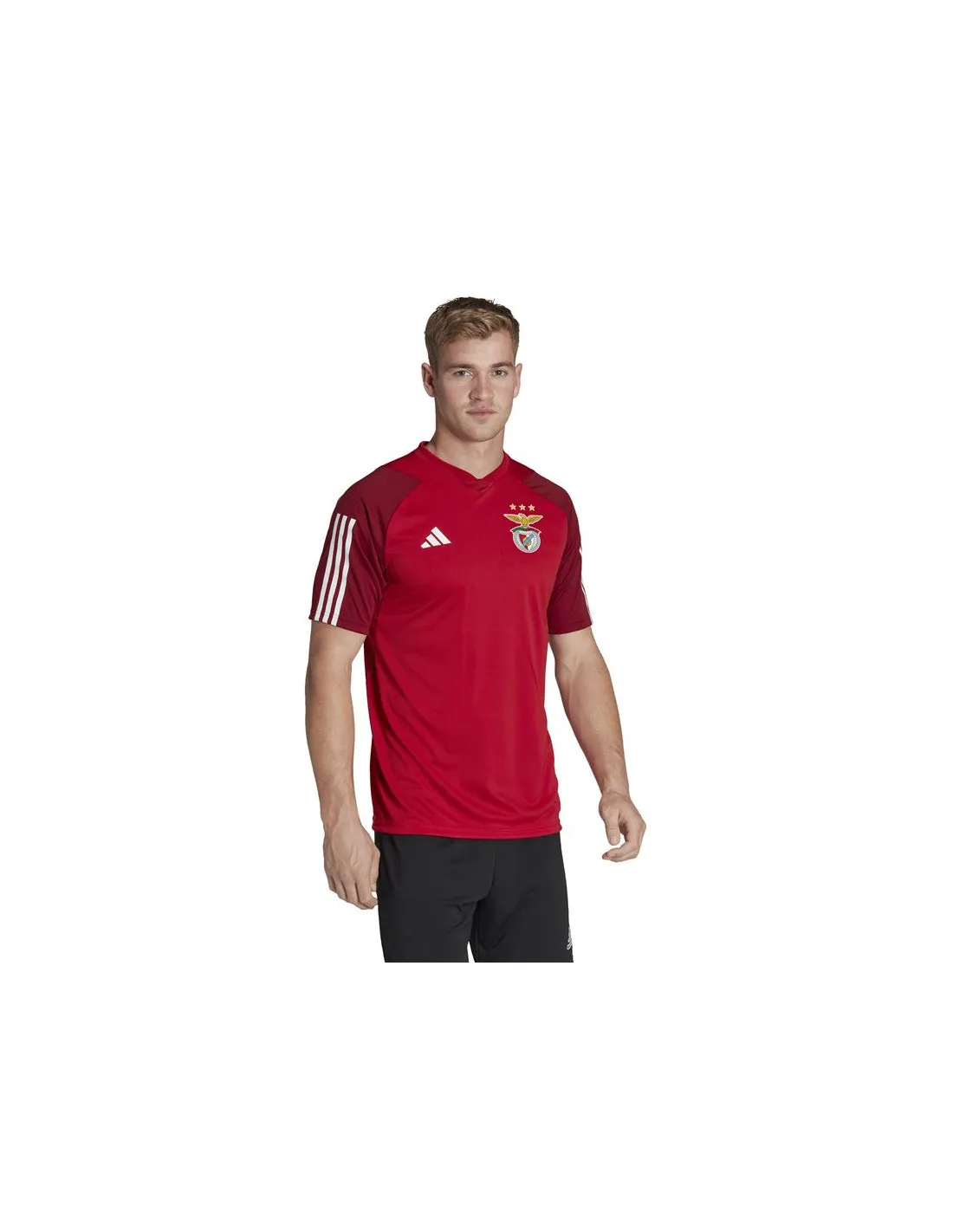 Camiseta de Fútbol adidas Benfica Hombre