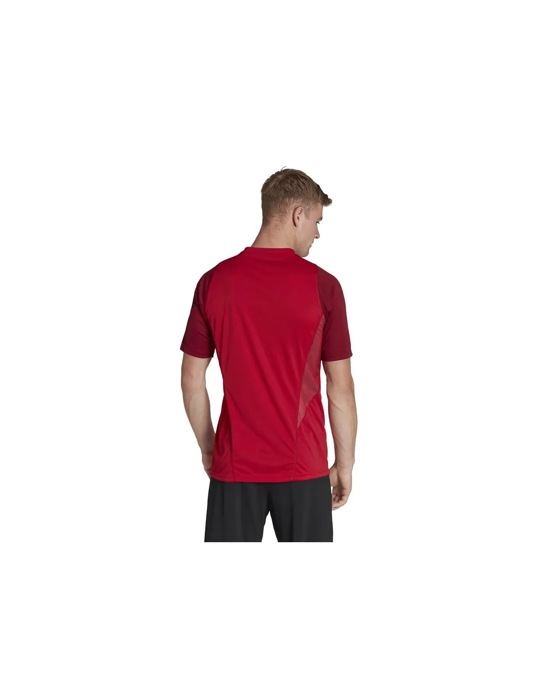 Camiseta de Fútbol adidas Benfica Hombre