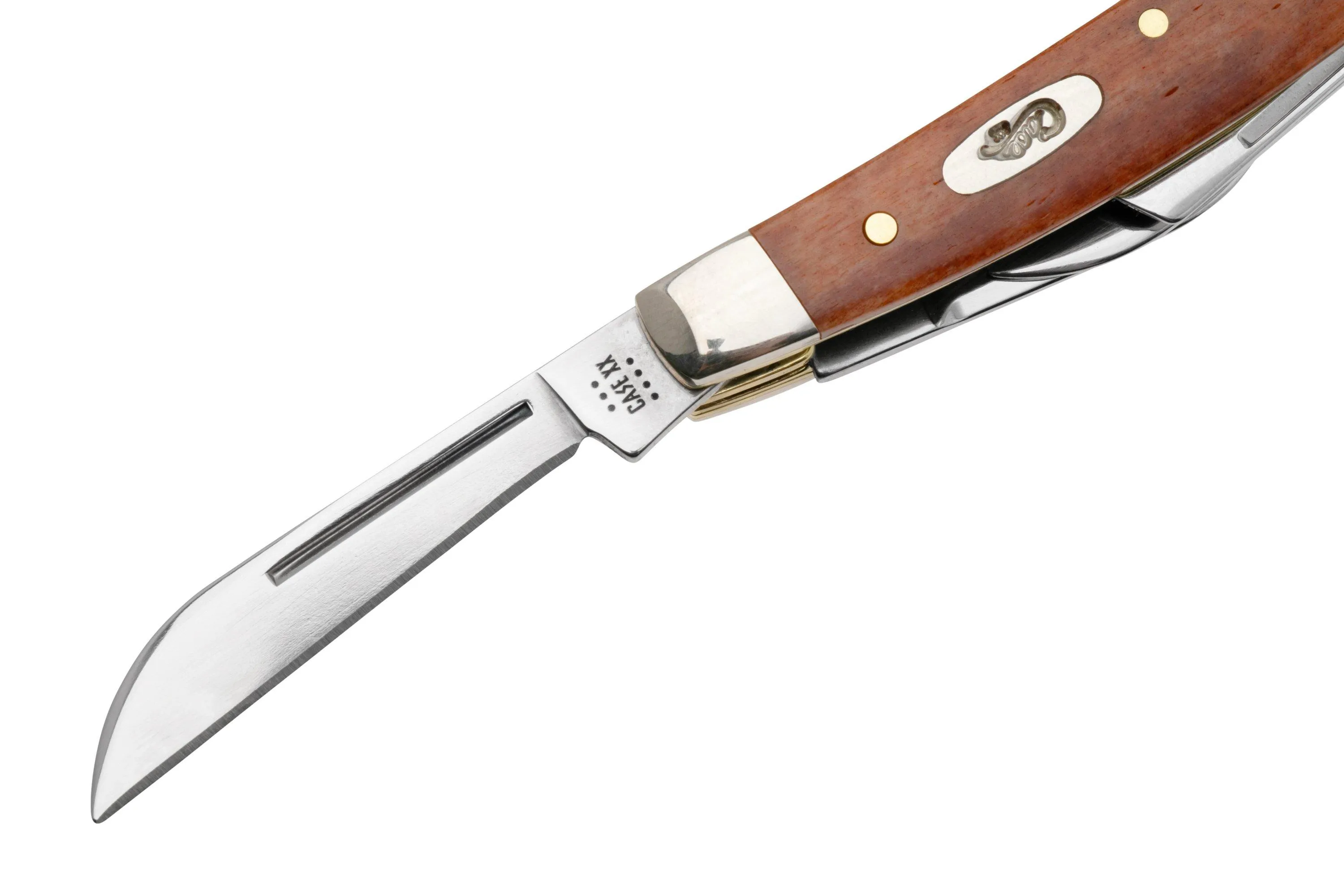 Case Small Congress 28911 Smooth Chestnut Bone 6468 SS navaja