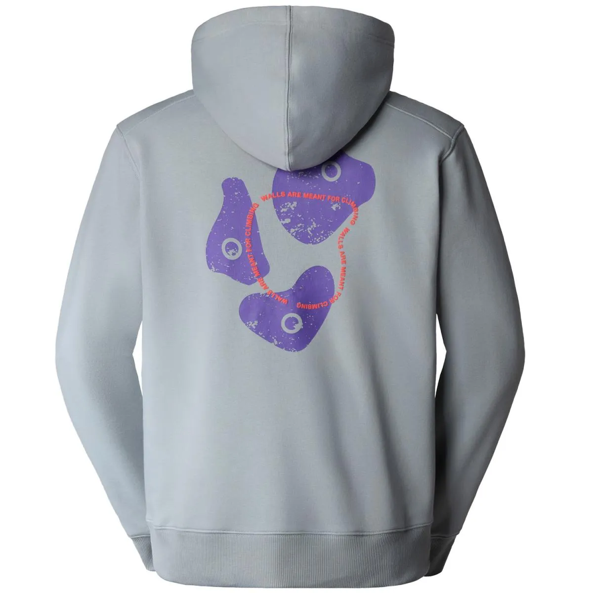 Sudadera the north face Outdoor Graphic Ho